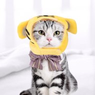 turgaycamdali45905az