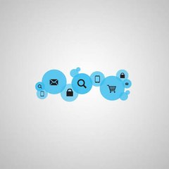 animals birds insects