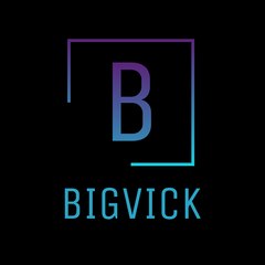 BIGVICK RADIO