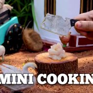 Mini Cooking