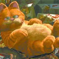 le bo-goss