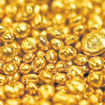 Gold Hunter 1