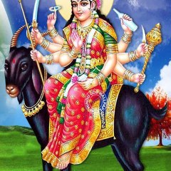 Raja Meldi Studio Mansar