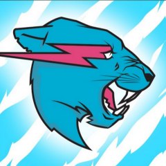 Mr beast