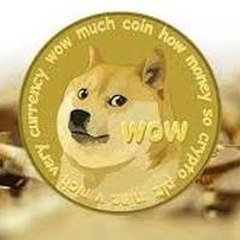 DogeCoin Z