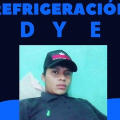 Refrigeracion dye