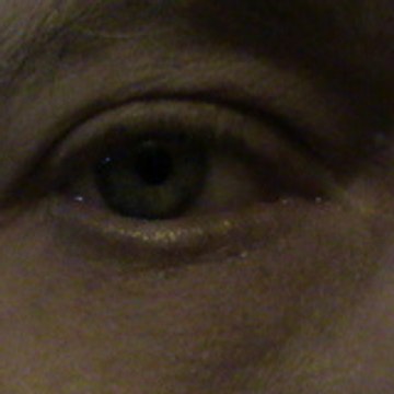 ***** VLADIMIR ***** " Ou un oeil sur le monde