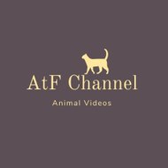 AtF Channel - Animal Videos