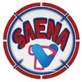 SAENA TV