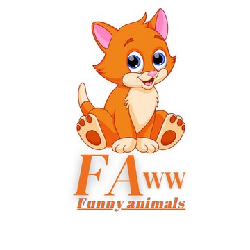 FAww Funny animals