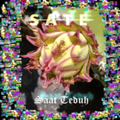 SateAKAsaatteduh
