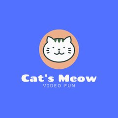 Video fun
