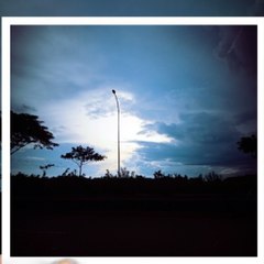 Aloy1702