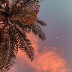 Aesthetic