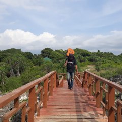 Roket Bambu