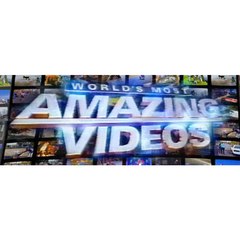Amazing Videos
