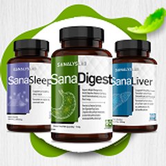 Sanalyslab