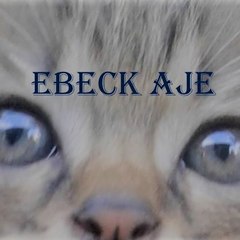 Ebeckchannel27