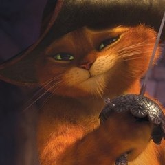 MadCat