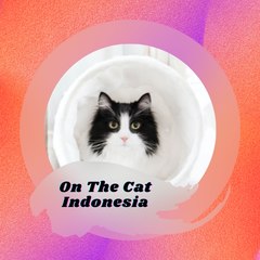 On The Cat Indonesia