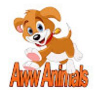 Aww Animals