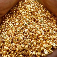Golden Goold