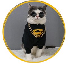 Animals Superhero