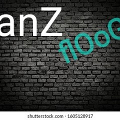Danz floog