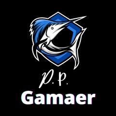 PP GAMER