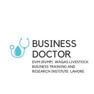 Business Doctor