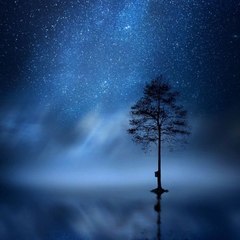 Relaxing nature music