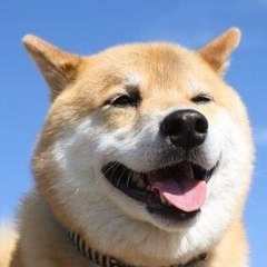 duocaiduofu