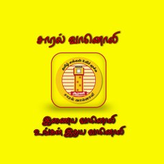 saaral vanoli