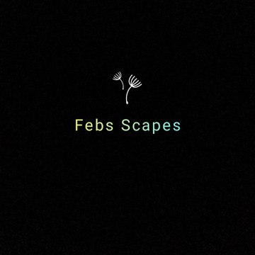 FebsScapes
