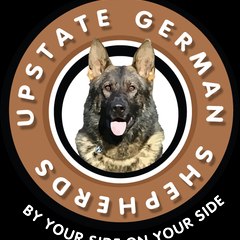 UpstateGermanShepherds