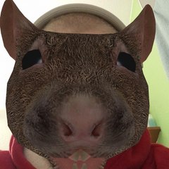 🐀⚔LeRat2Chouchou⚔🐀