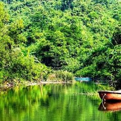 Nature of Bangladesh