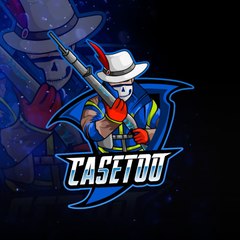 THE CASETOO