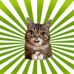 Кот - Юморист