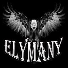Elymany Website