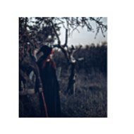 অজানা রহস্য