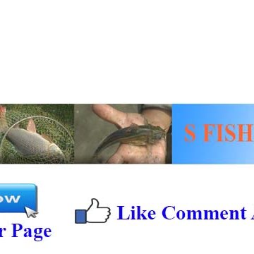 S Fishing Tv