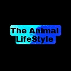 The Animal LifeStyle