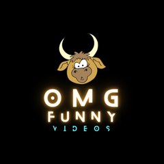 OMG Funny Vids