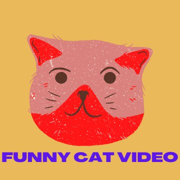 FUNNY CAT VIDEO