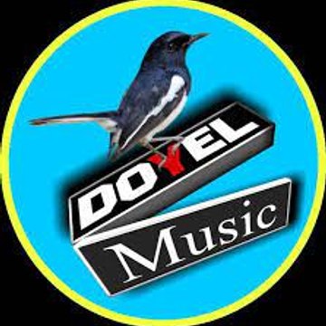 Doyel Music