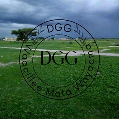 DGG Waacillee mata Wayaama Tube