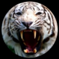 White Tiger Productions