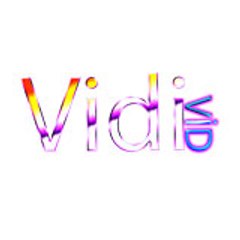 VidiVid