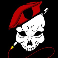 The Literary Mercenary